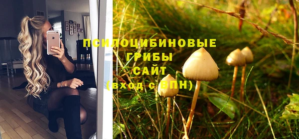 прущая мука Кулебаки