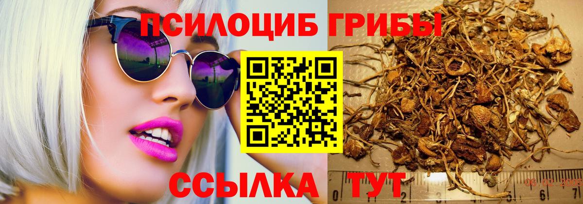 Галлюциногенные грибы мухоморы  Вход с VPN  Лыткарино  купить наркоту  Галлюциногенные грибы Magic Shrooms 