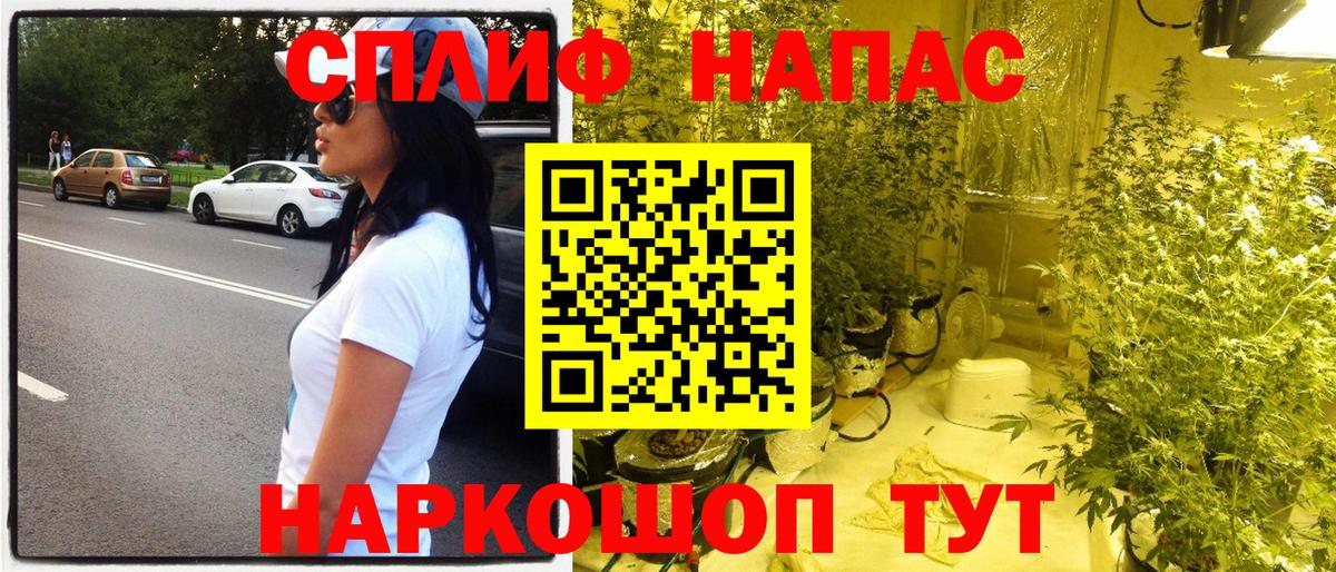Каннабис план  Канабис тримм  Вход с VPN  Бошки марихуана конопля  Бошки марихуана THC 21%  Лыткарино 